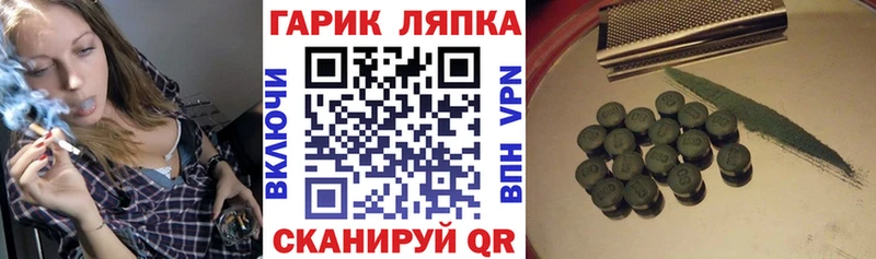 ГАШ Изолятор  Болхов 