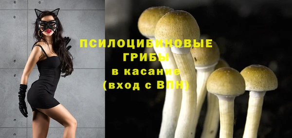 соль ск Сатка