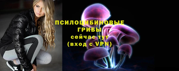 2c-b Саяногорск