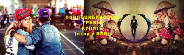 мяу мяу мука Гусь-Хрустальный